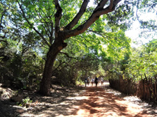 Brazil-Maranhao & Piaui-Hidden gems of Northeastern Brazil